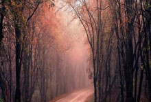 苏宁团队备战，冲击中超前列！