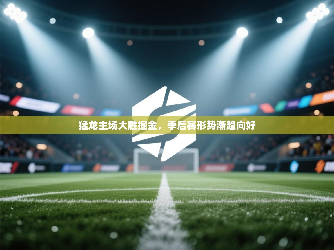 猛龙主场大胜掘金，季后赛形势渐趋向好  第2张